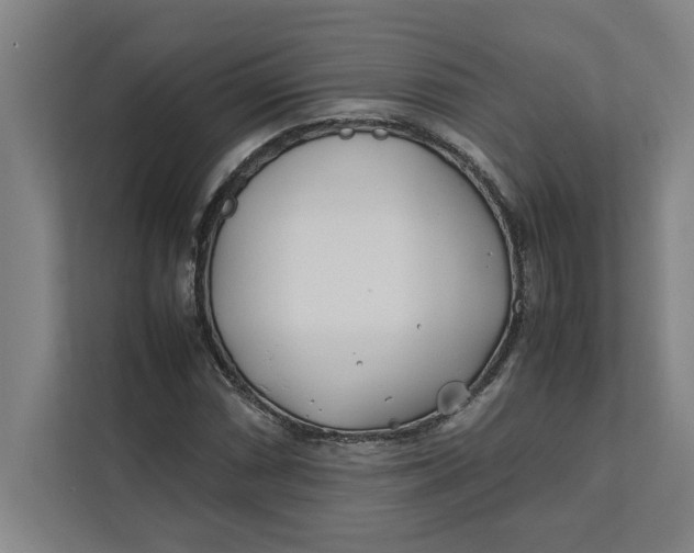 X0000112411066200909041352