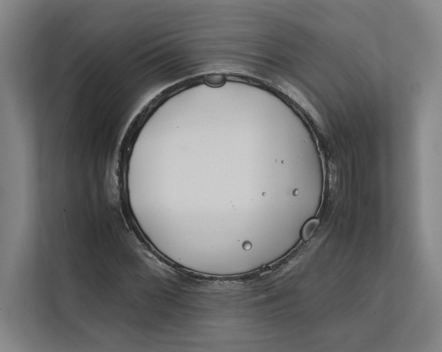 X0000112411068200909041352