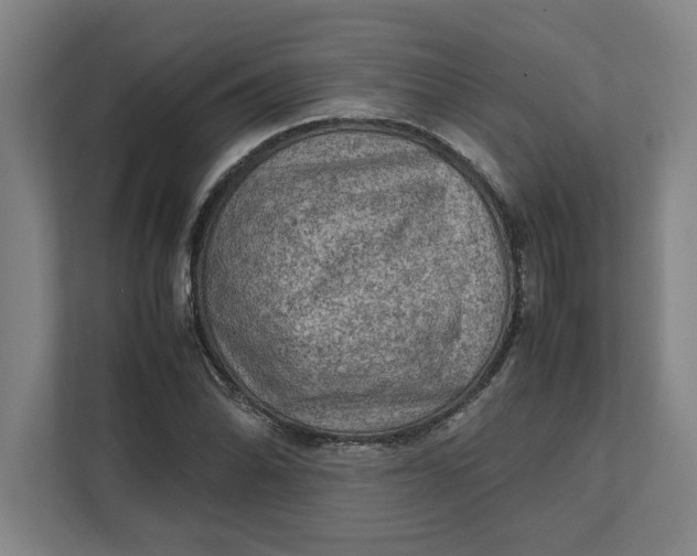 X0000112411070200909041352