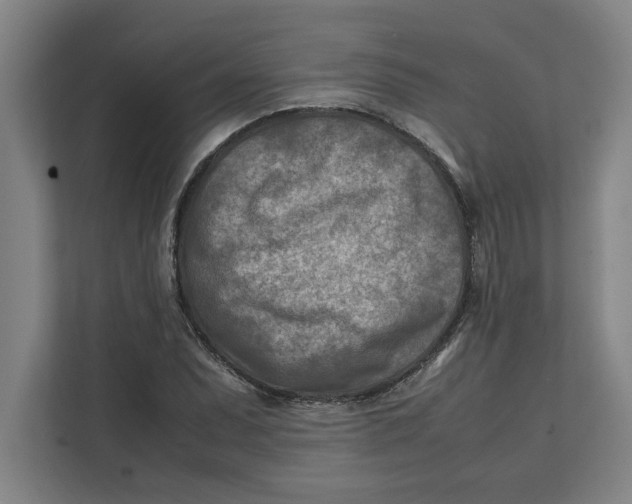 X0000112411071200909041351