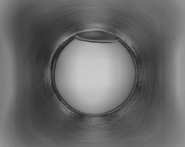 X0000112411072200909041351