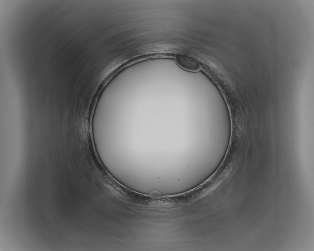 X0000112411073200909041351