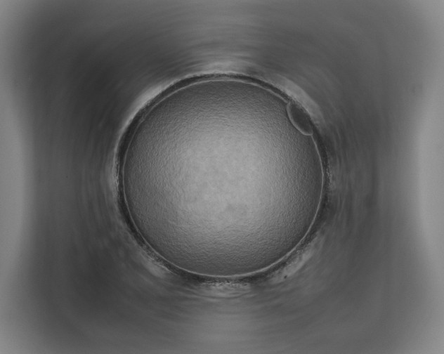 X0000112411077200909041351