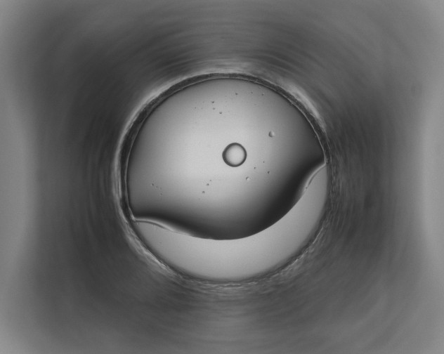 X0000112411080200909041351