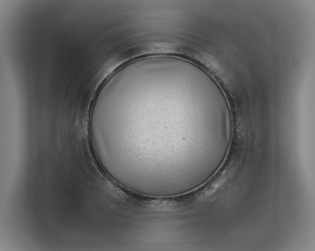 X0000112411081200909041351