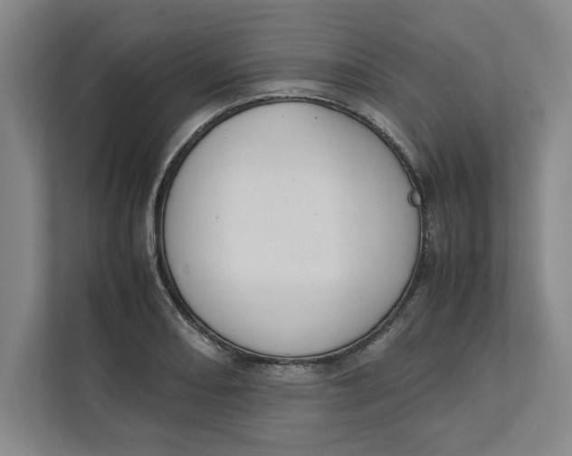 X0000112411082200909041351