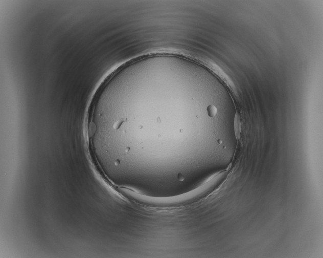 X0000112411084200909041351