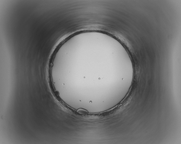 X0000112411085200909041351