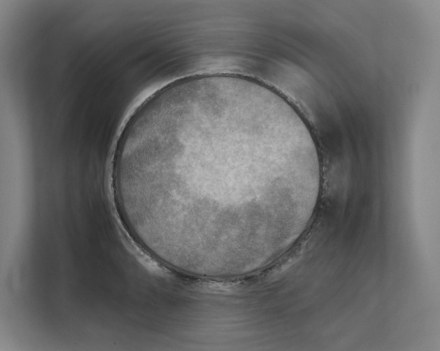 X0000112411086200909041351