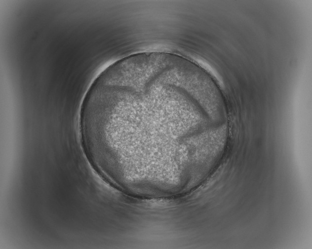 X0000112411087200909041351