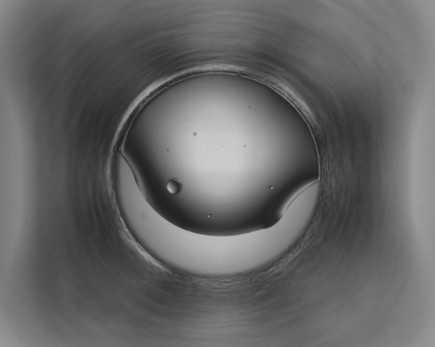 X0000112411092200909041351