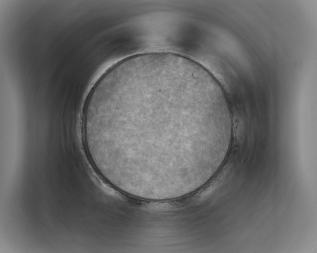 X0000112411094200909041351