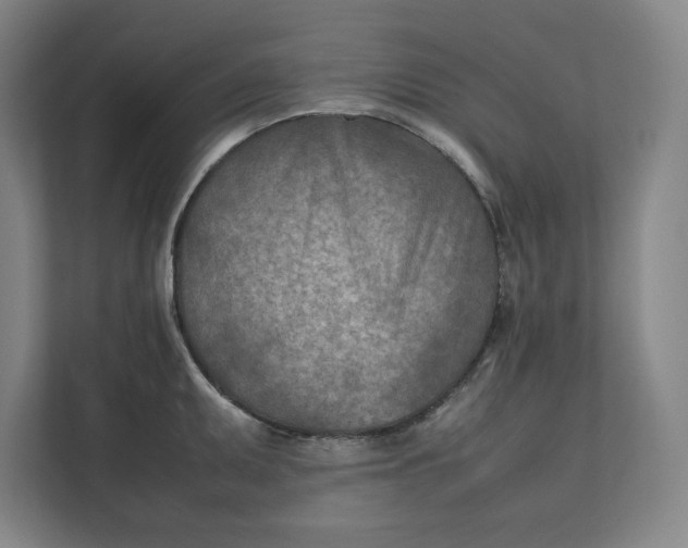 X0000112411095200909041351