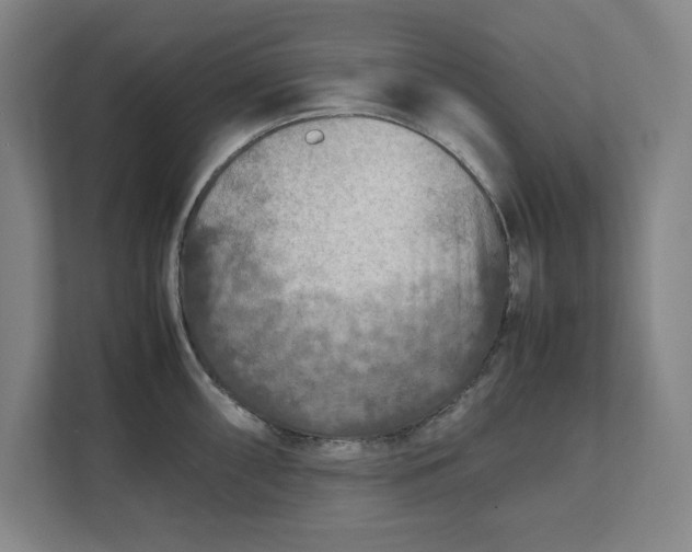 X0000112411098200909041351