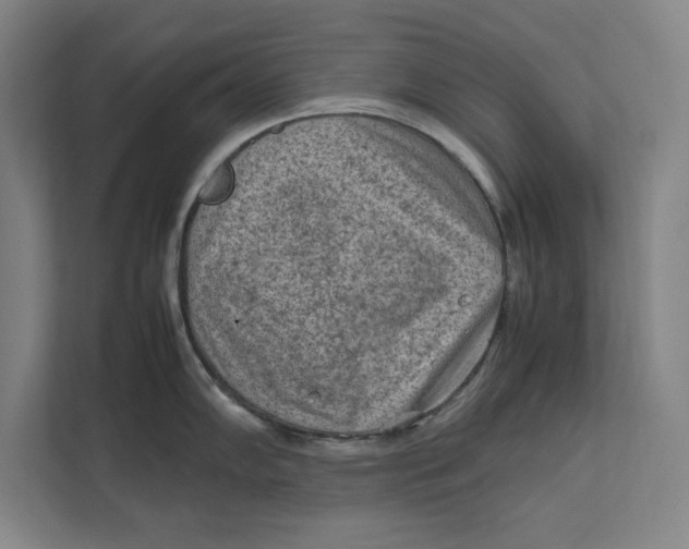 X0000112411102200909041351