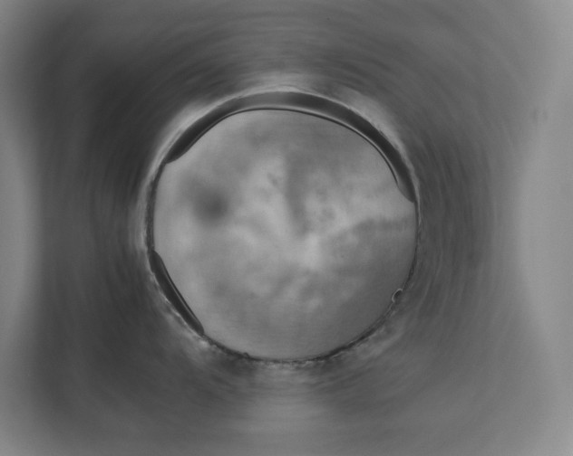 X0000112411104200909041351