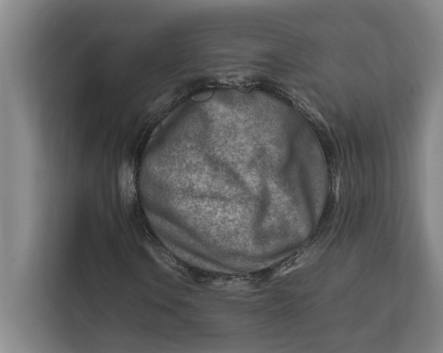 X0000112411106200909041350