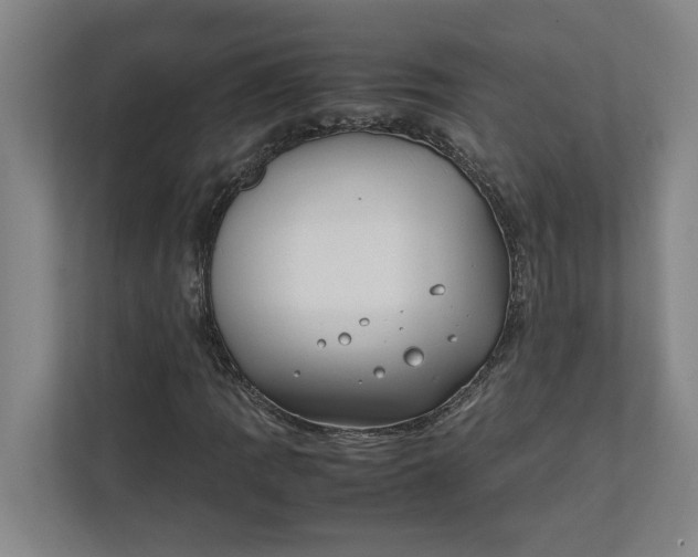 X0000112411109200909041350