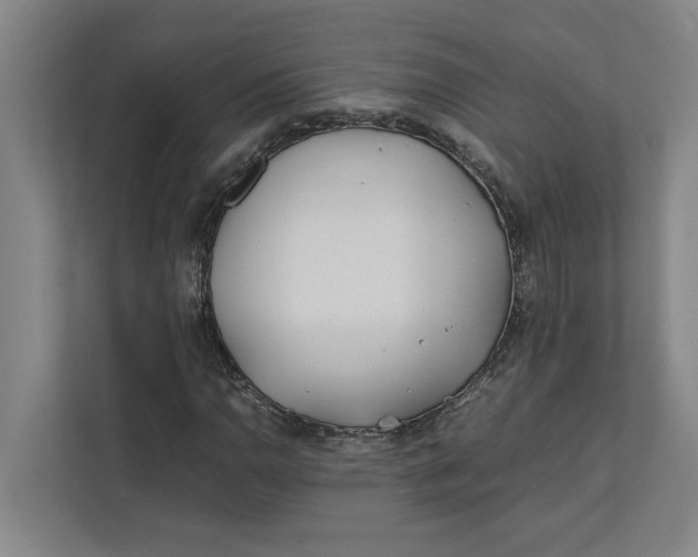 X0000112411110200909041351