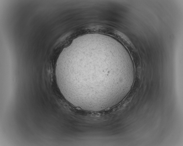 X0000112411111200909041351