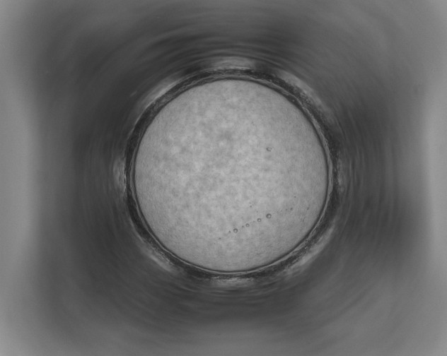 X0000112411113200909041351