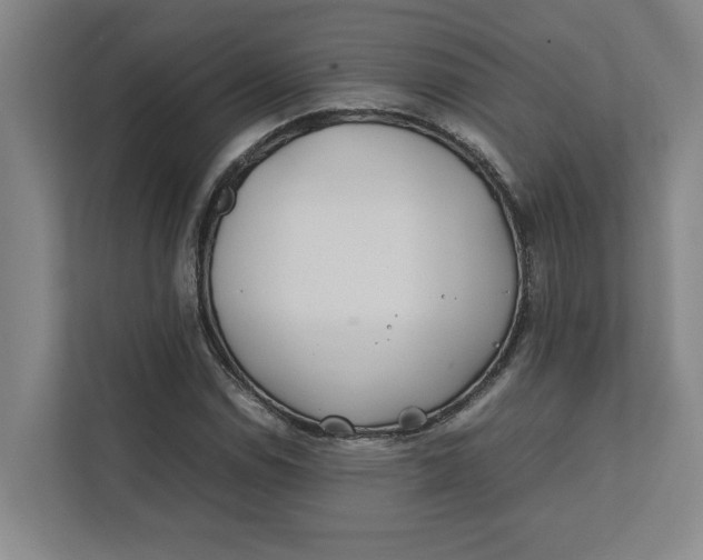 X0000112411114200909041351