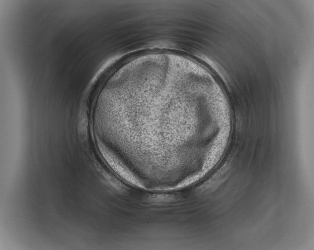 X0000112411115200909041351