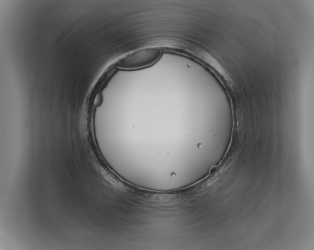 X0000112411116200909041351