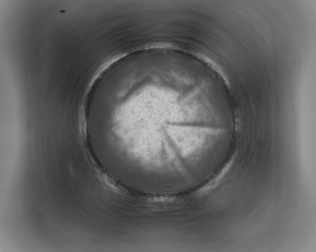 X0000112411117200909041351