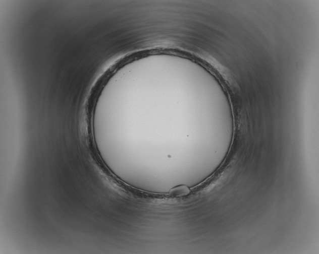 X0000112411118200909041351