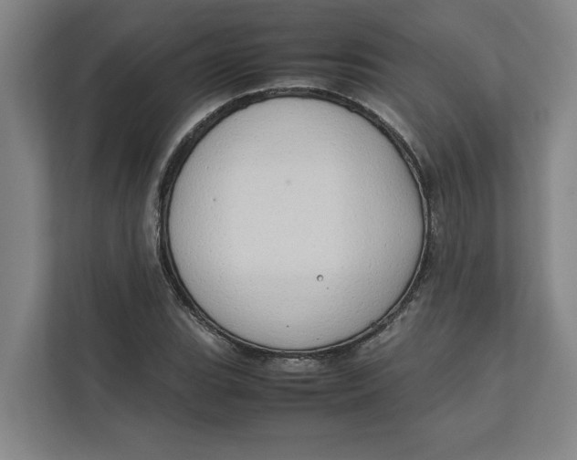 X0000112411119200909041351