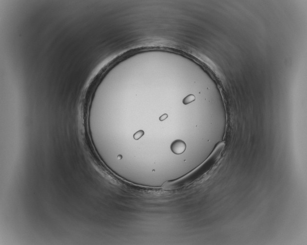 X0000112411120200909041351