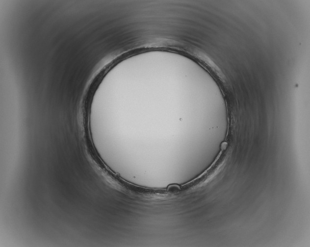 X0000112411122200909041351