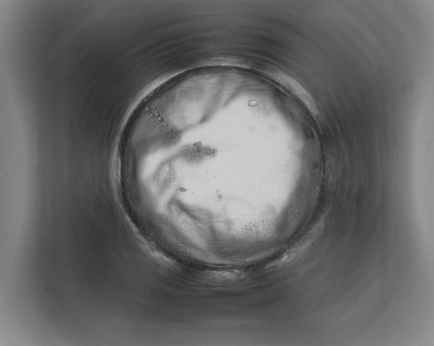 X0000112411125200909041351