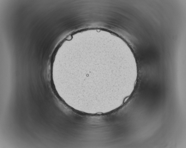 X0000112411126200909041351