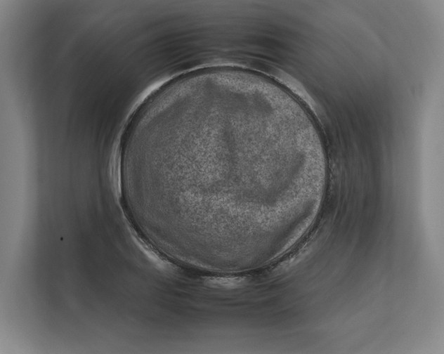 X0000112411127200909041351