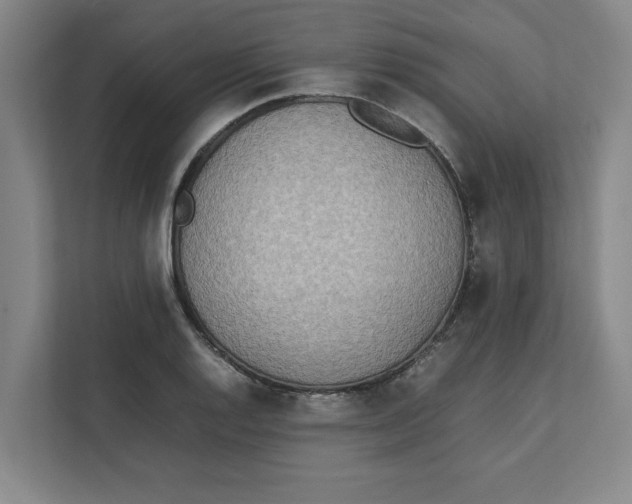 X0000112411128200909041351