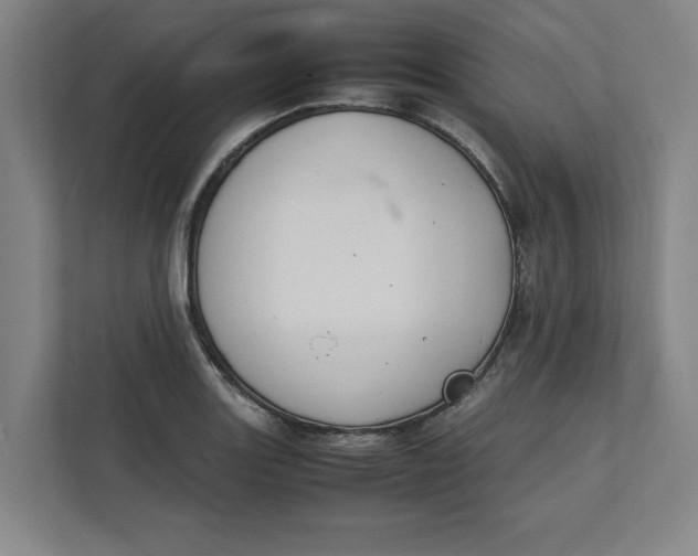 X0000112411131200909041351