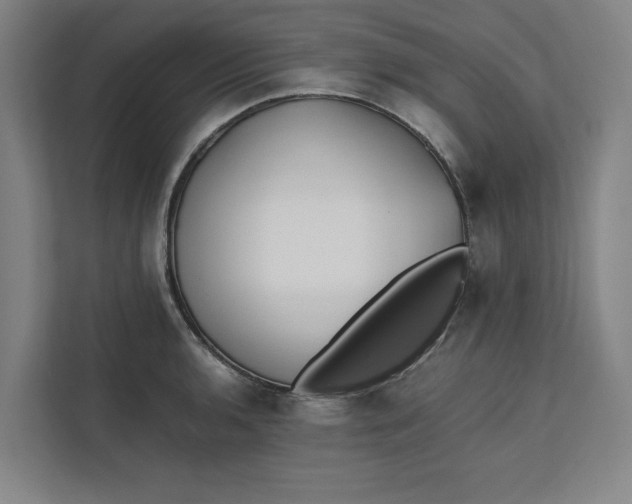 X0000112411136200909041351