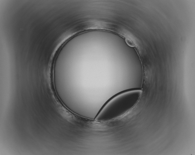 X0000112411138200909041351