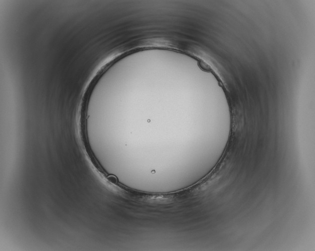 X0000112411139200909041351