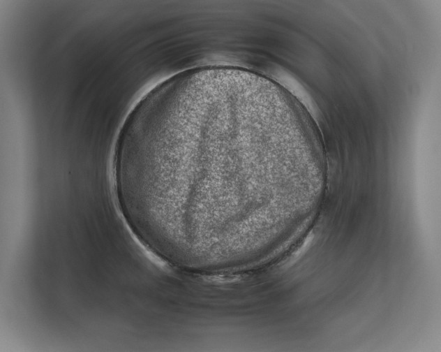 X0000112411141200909041351