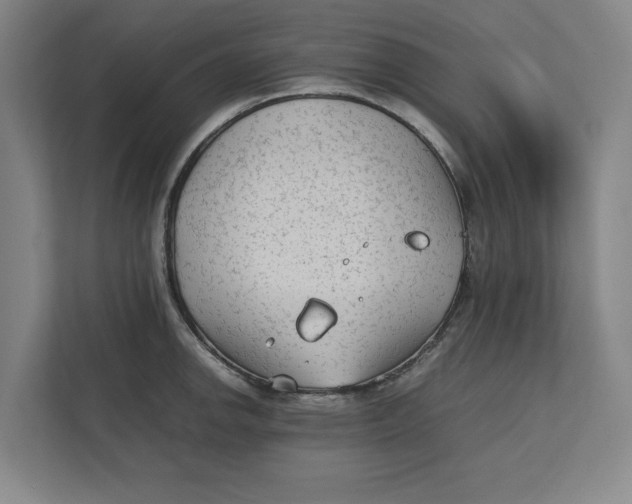 X0000112411142200909041351