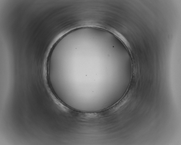 X0000112411144200909041351