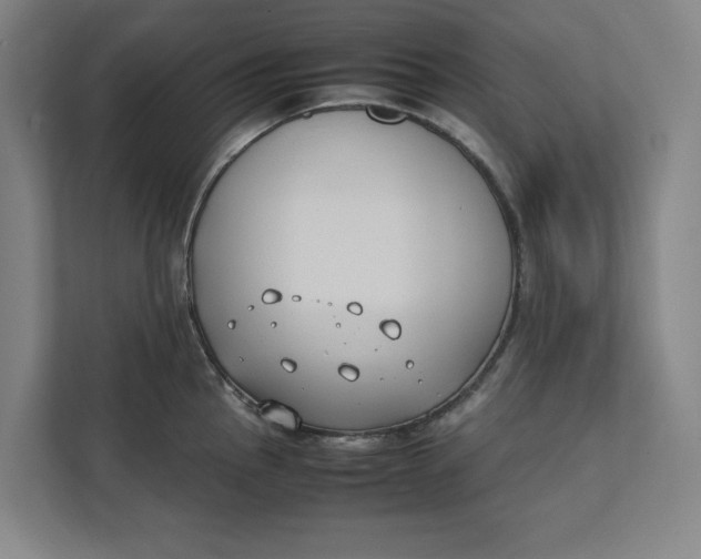 X0000112411145200909041351