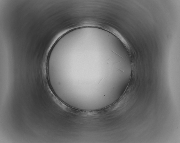 X0000112411148200909041351