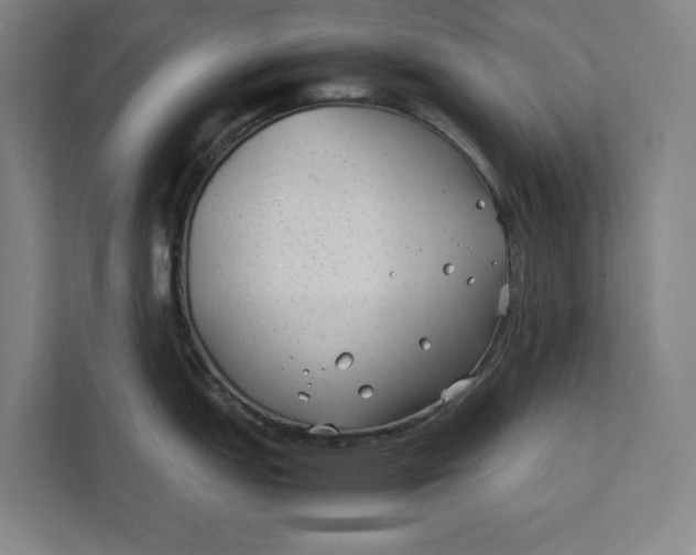 X0000112411151200909041351