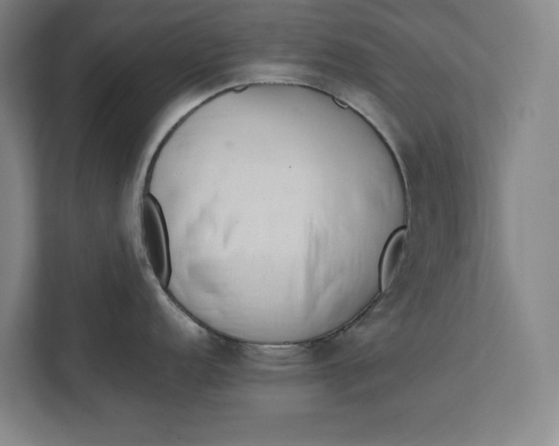 X0000112411152200909041351