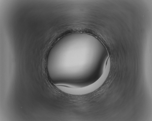 X0000112411153200909041350