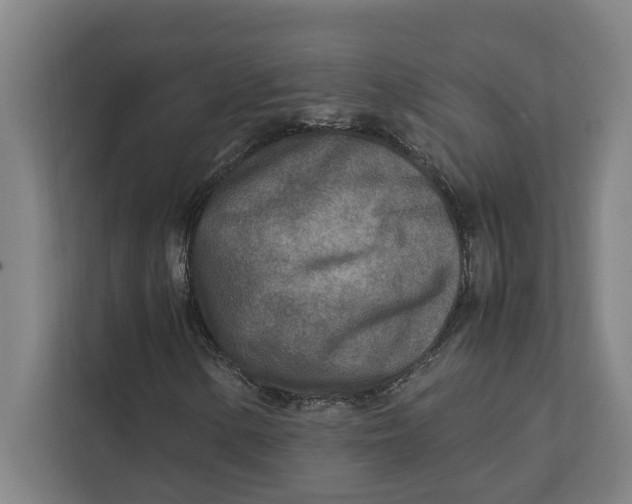 X0000112411154200909041350